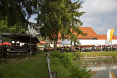 2544-o_1d6ifsk8ld5f5jj78v17auf6m3g