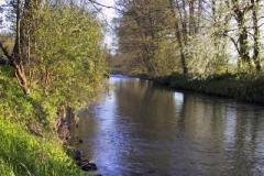 Ilm_hinter_Fischerhuette